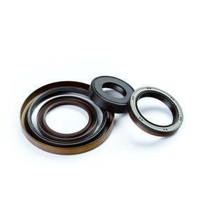 Nunc congue dui nec...