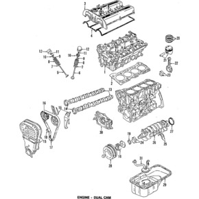 Nunc congue dui nec...
