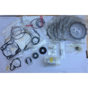 Nunc congue dui nec...