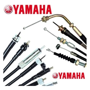 Nunc congue dui nec...