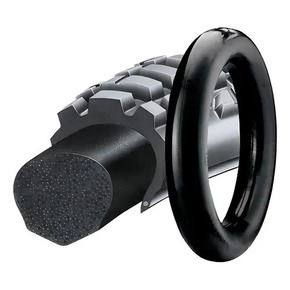 Nunc congue dui nec...