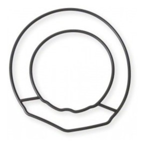 Nunc congue dui nec...