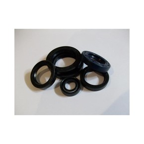 Nunc congue dui nec...