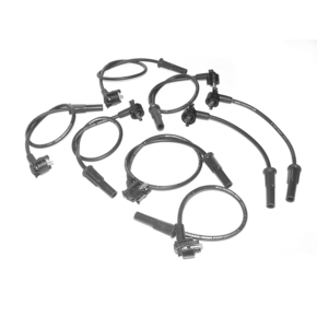 Nunc congue dui nec...