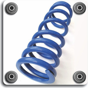 Nunc congue dui nec...