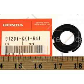 Nunc congue dui nec...