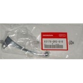 Nunc congue dui nec...