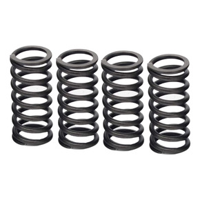 Nunc congue dui nec...